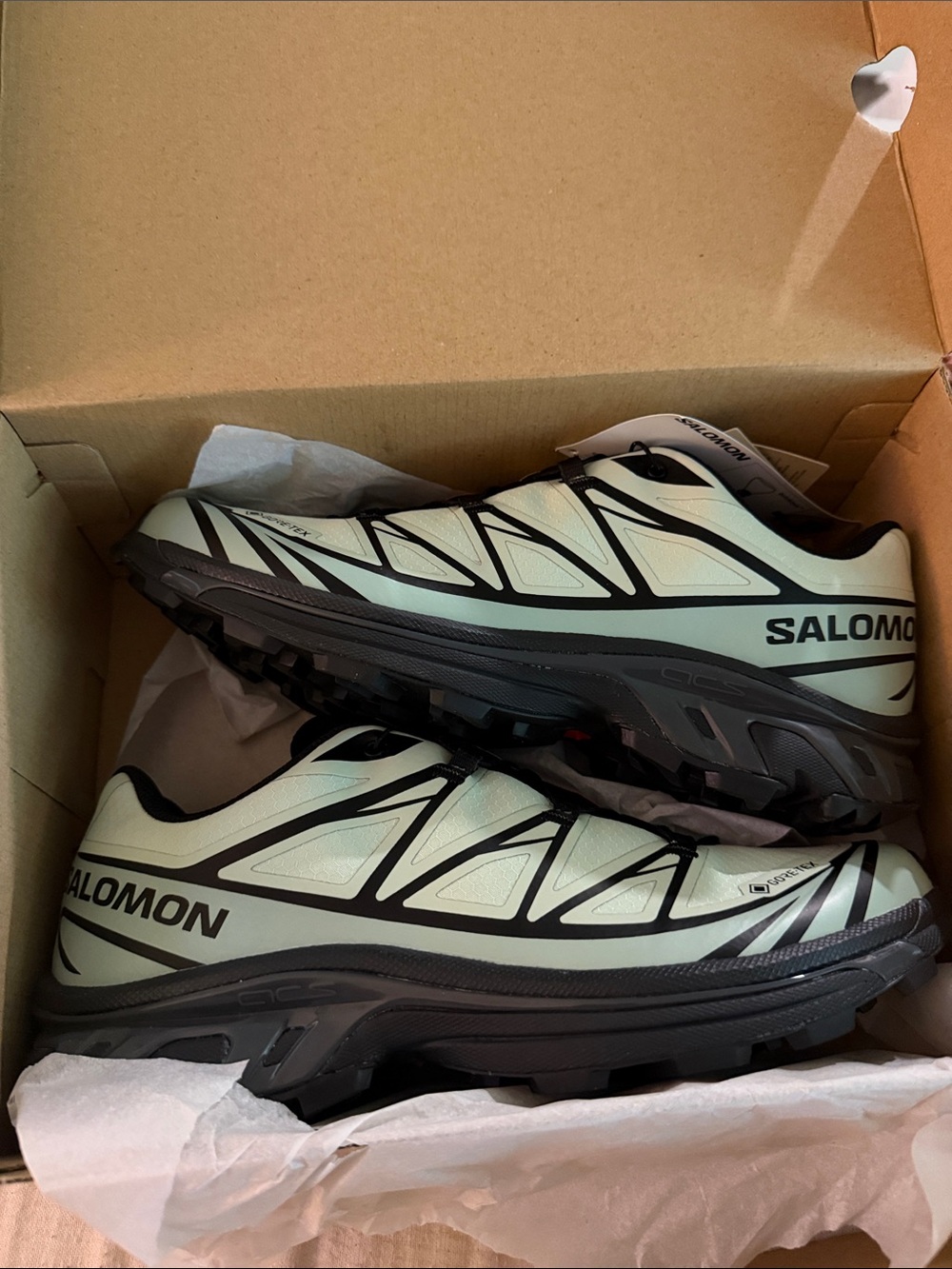 Salomon Mint Green and Black Trail Running Shoe